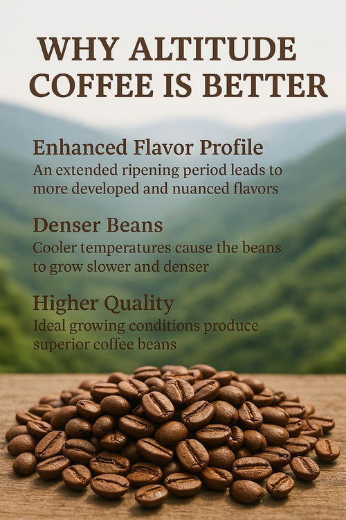 Ground Coffee – Single Origin Specialty Coffee (8.8 oz)